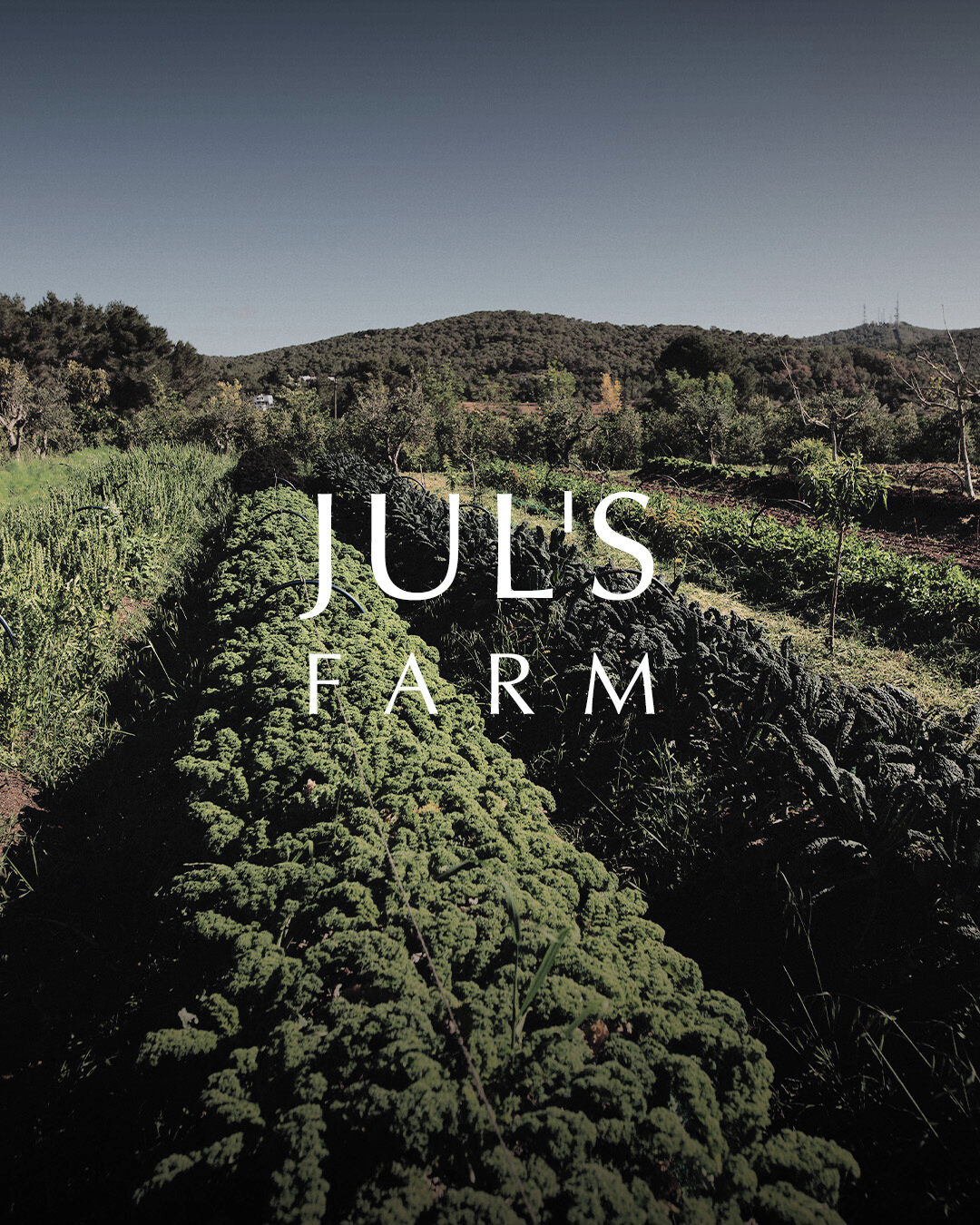 JULS - Ibiza