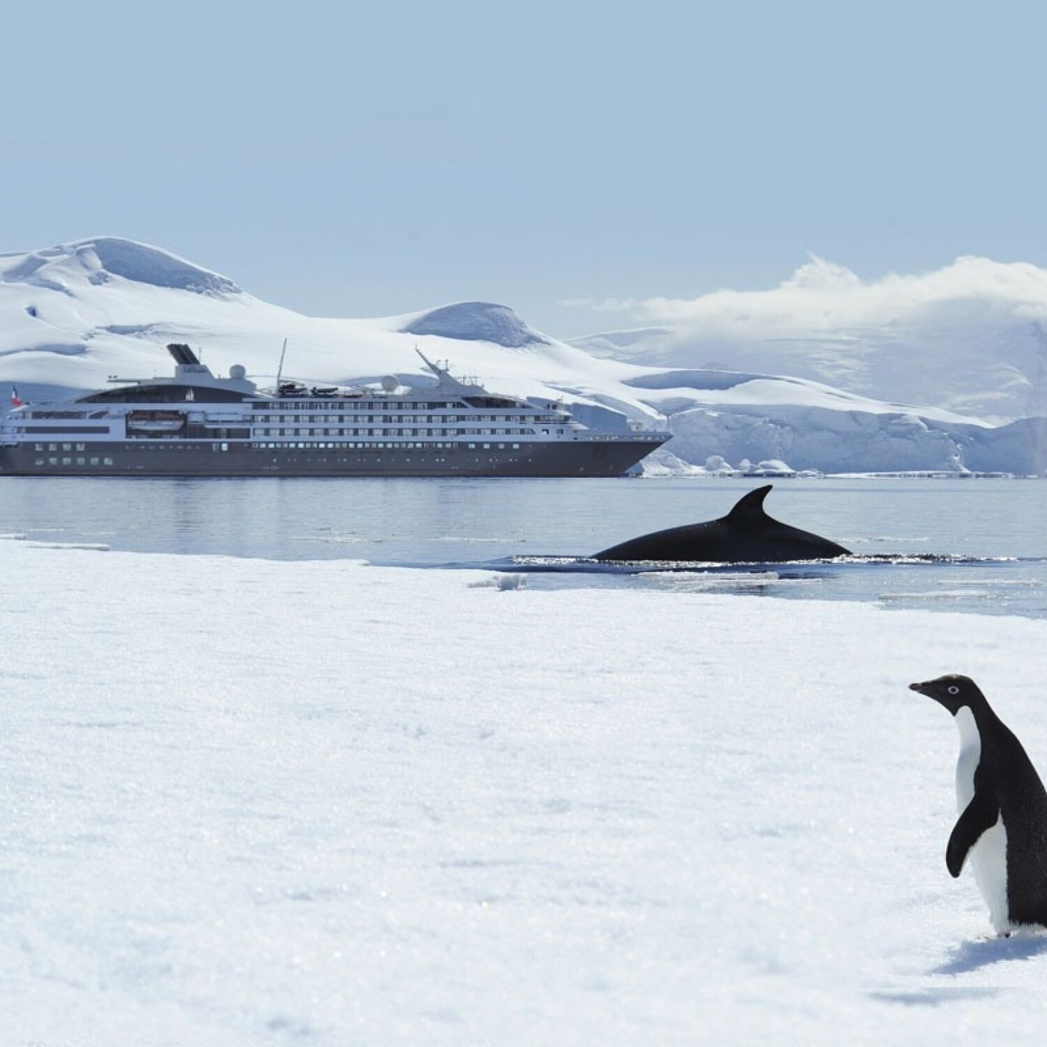 Antarctica Luxury Expedition